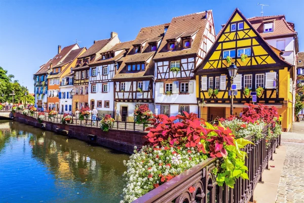COMFORT ALSACE NOEL PAZARLARI TURU