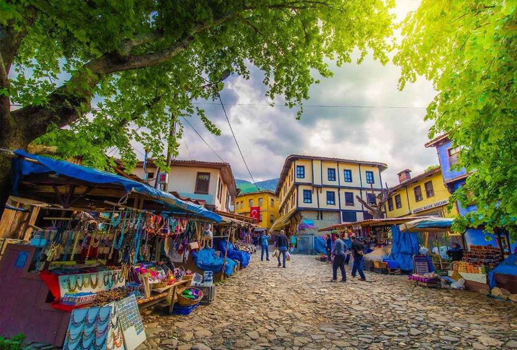 BURSA İZNİK GÖLYAZI TURU / 07 ARALIK HAREKETLİ Küçük resim
