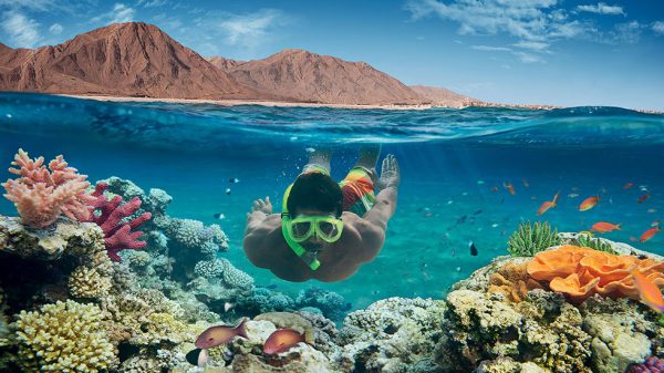 SHARM EL SHEIKH TURU *SÖMESTR ÖZEL*
