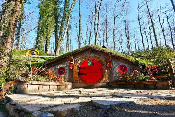 KARTEPE ABANT VE DÜZCE ŞELALELER TURU *SÖMESTR ÖZEL*