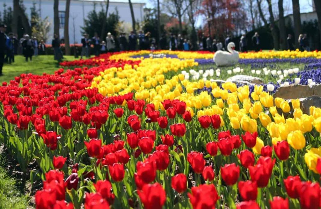 GÜNÜBİRLİK İSTANBUL LALE FESTİVALİ TURU Küçük resim